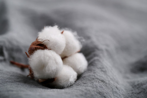 Organic cotton, the alternative to conventional cotton